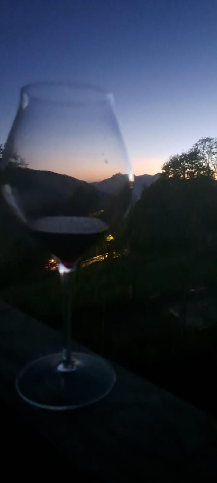 Dossena Dimora Storica Al Lac Conte Tomaselli Villa Madonna della Costa Buitenkant foto